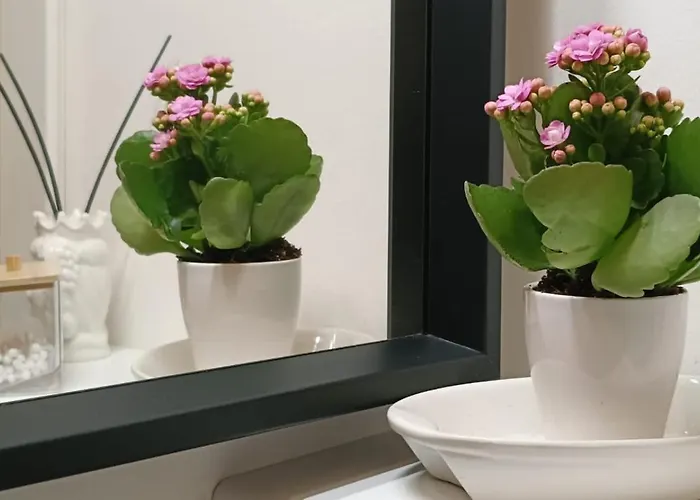 Apartment Eleganza In Centro Citta *